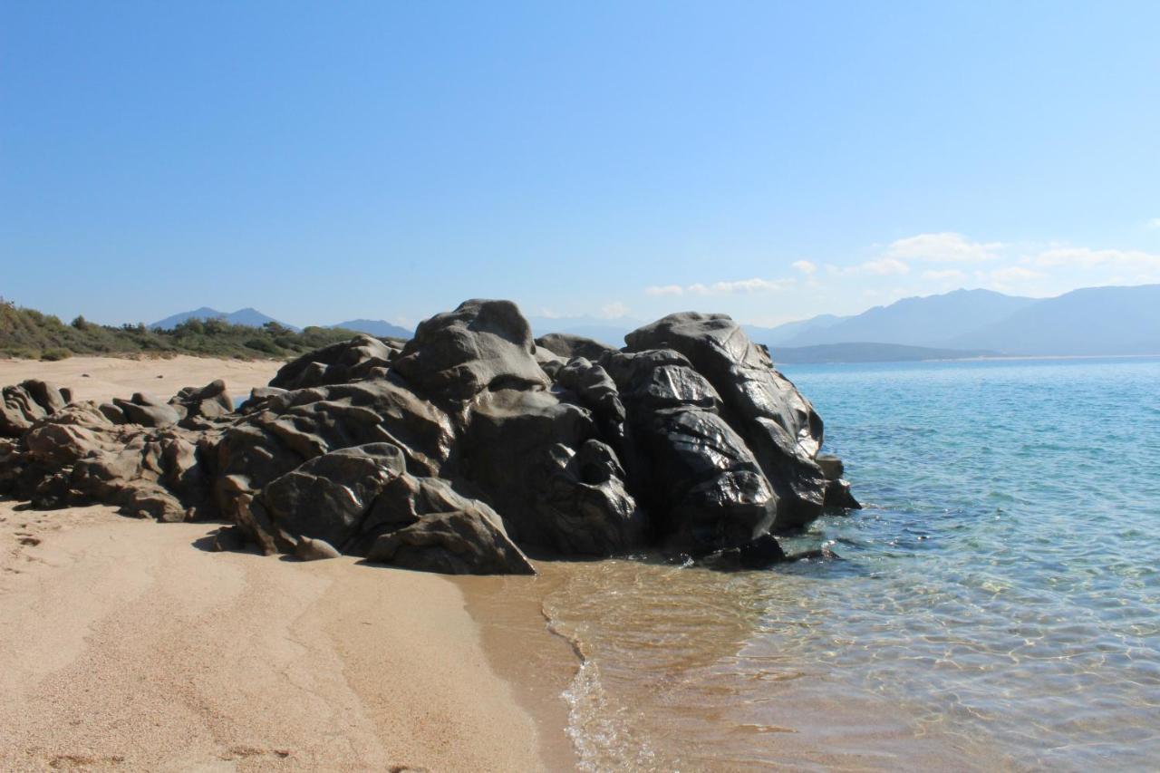 Villas Valinco San Martinu Corse du Sud - vue et proche mer - piscines privées Olmeto  Exterior foto