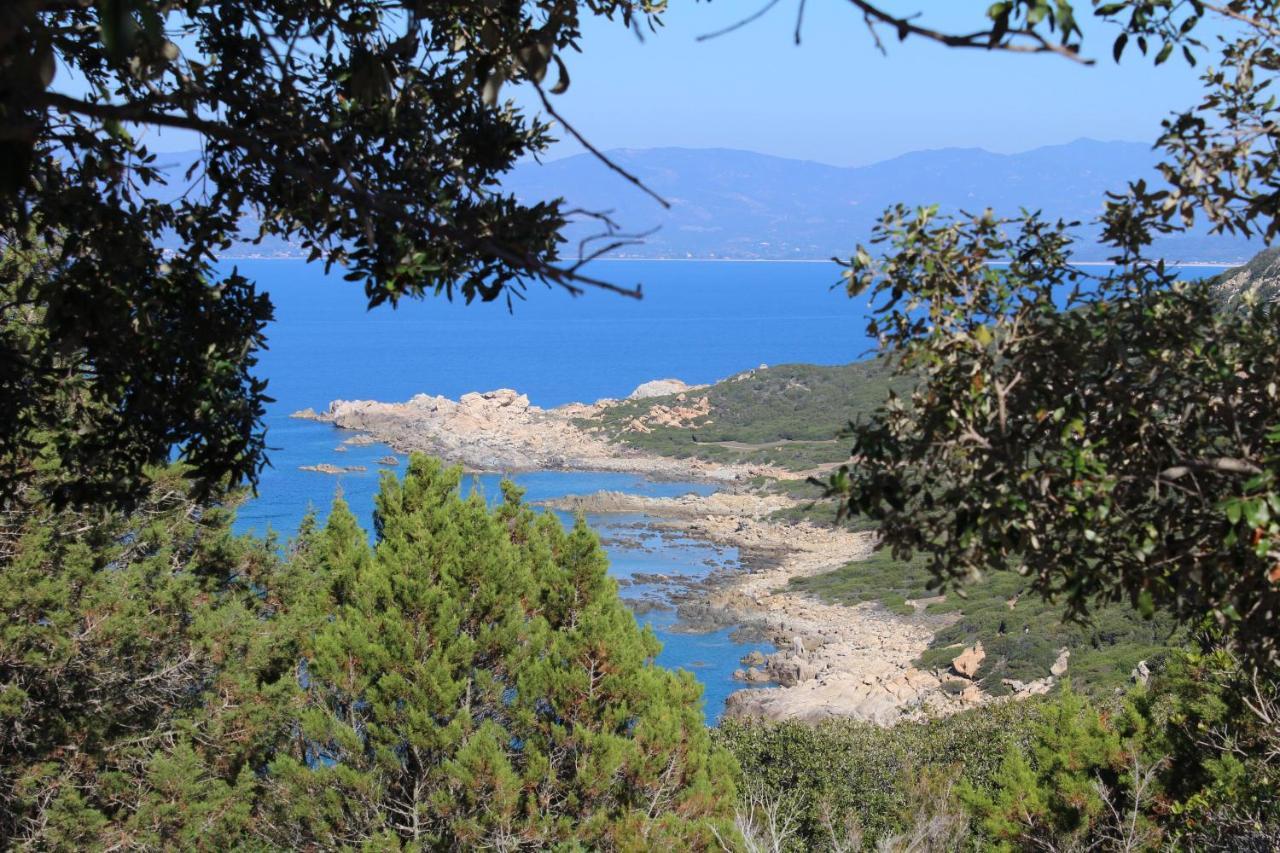 Villas Valinco San Martinu Corse du Sud - vue et proche mer - piscines privées Olmeto  Exterior foto