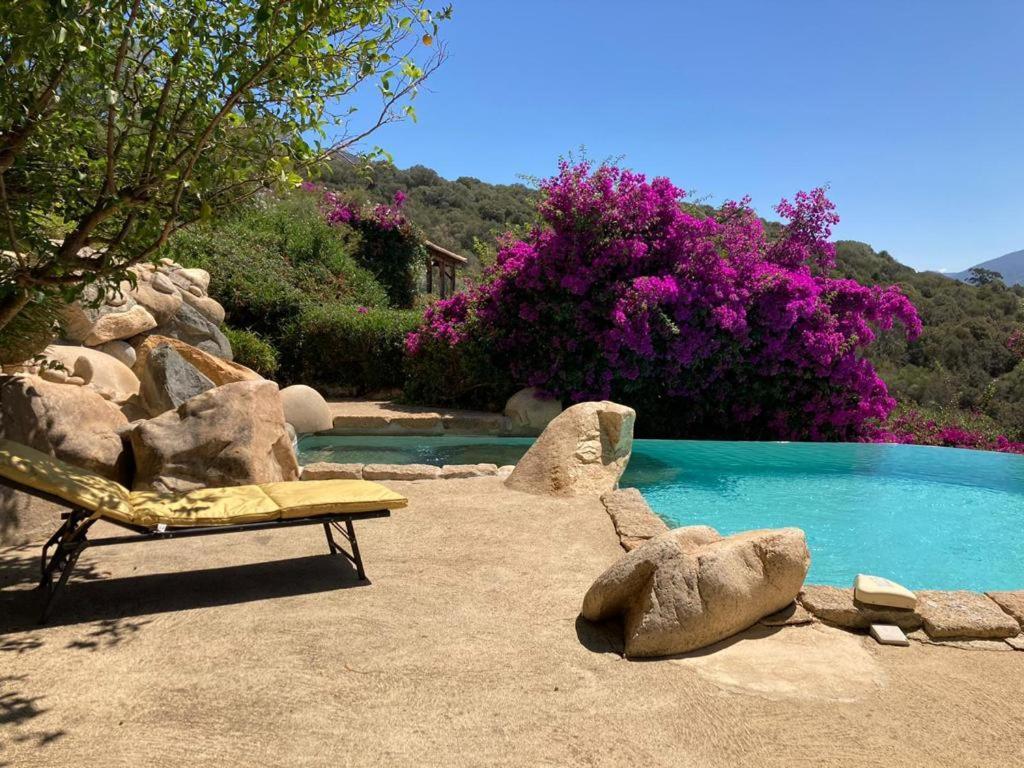 Villas Valinco San Martinu Corse du Sud - vue et proche mer - piscines privées Olmeto  Exterior foto