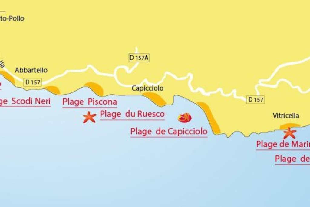 Villas Valinco San Martinu Corse du Sud - vue et proche mer - piscines privées Olmeto  Exterior foto